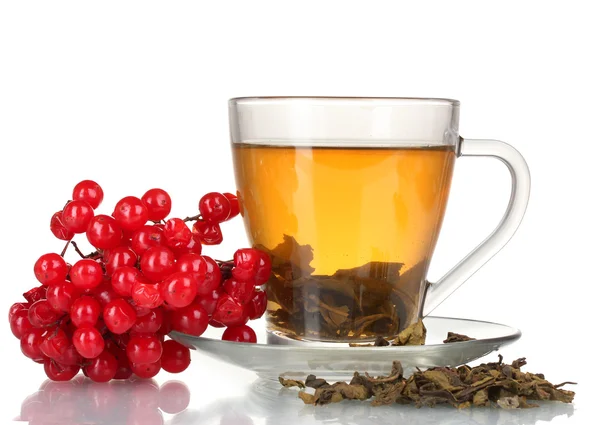 Grönt te med röd viburnum i glas cup isolerad på vit — Stockfoto