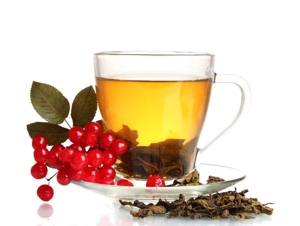 Groene thee met rode planten van viburnum in glazen beker geïsoleerd op wit — Stockfoto