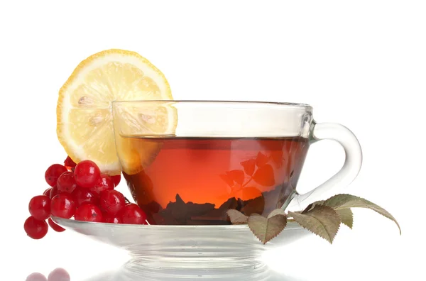 Black tea with red viburnum and lemon in glass cup isolated on white — Stock Photo, Image