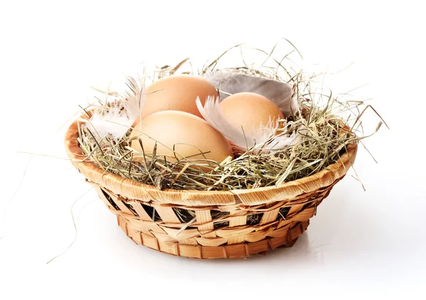 Hühnereier in einem Nest isoliert auf weiß — Stockfoto