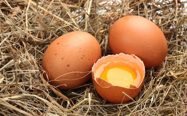 Chicken eggs in a nest closeup — Stock Photo, Image