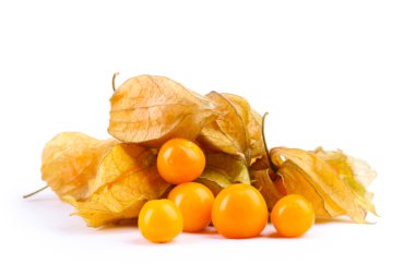 physalis öbek üzerinde beyaz izole