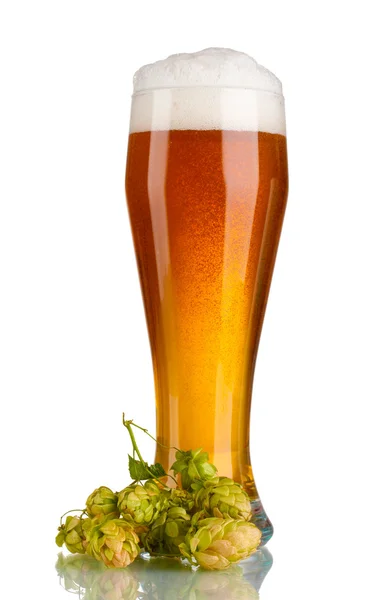 Cerveza en un vaso y lúpulo verde aislado en blanco —  Fotos de Stock