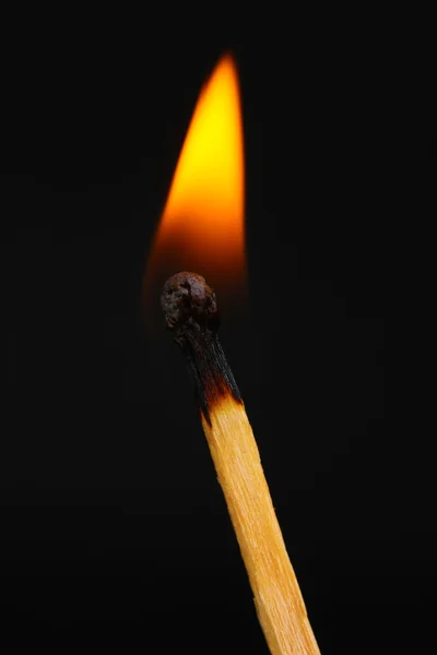 Burning match on black background — Stock Photo, Image