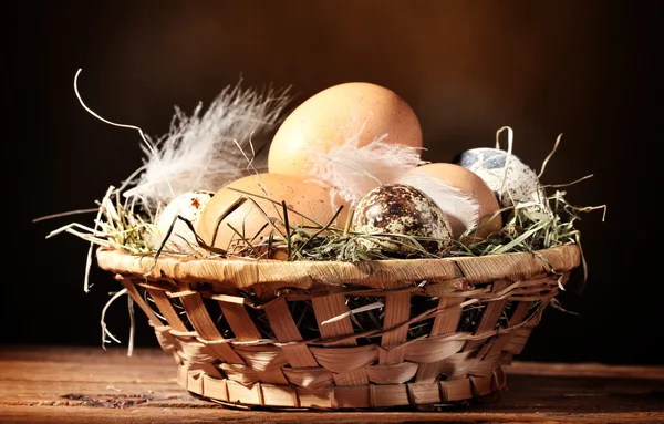 Chicken and quail eggs in a nest on wooden table on brown background — Stock Photo, Image