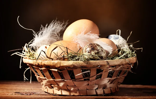 stock image Chicken and quail eggs in a nest on wooden table on brown background