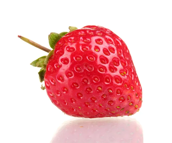 Süße Erdbeere isoliert auf weiß — Stockfoto