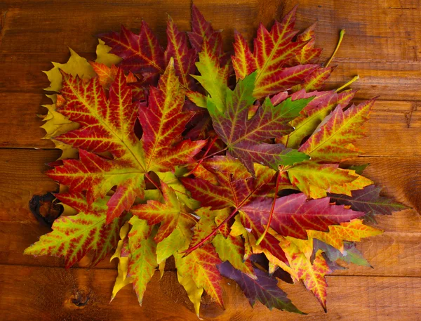 Feuilles d'érable d'automne vives sur fond en bois — Photo