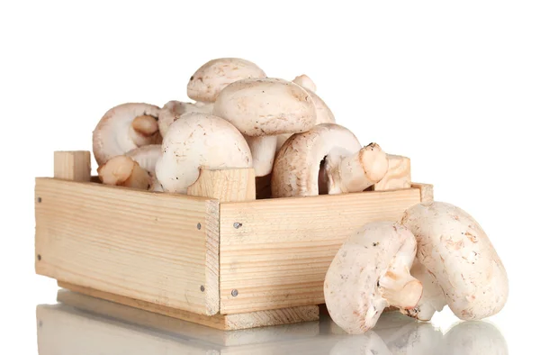 Fresh mushrooms in a wooden box isolated on white — Stock Photo, Image