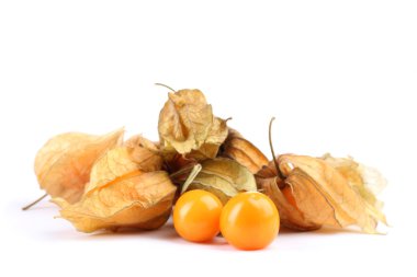 physalis öbek üzerinde beyaz izole