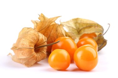 Physalis heap isolated on white clipart