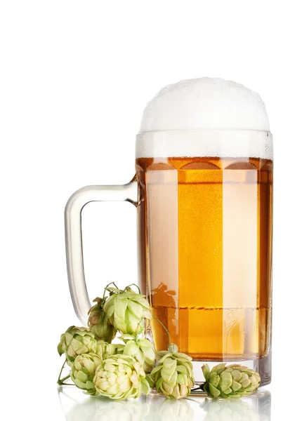 Taza de cerveza y lúpulo verde aislado en blanco —  Fotos de Stock