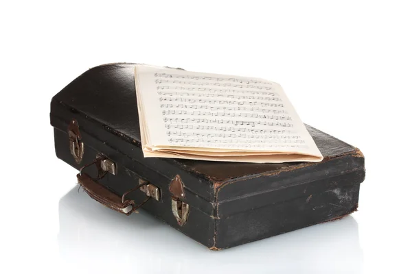 楽器と白 notesisolated とノートブックのための古いケース — ストック写真