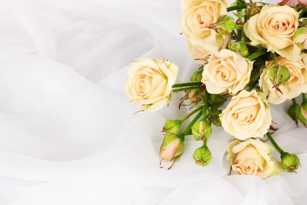 Small roses in a white cloth isolated on white — Stock Photo, Image