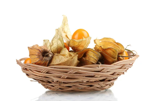 Physalis in basket isolated on white — Stock Photo, Image
