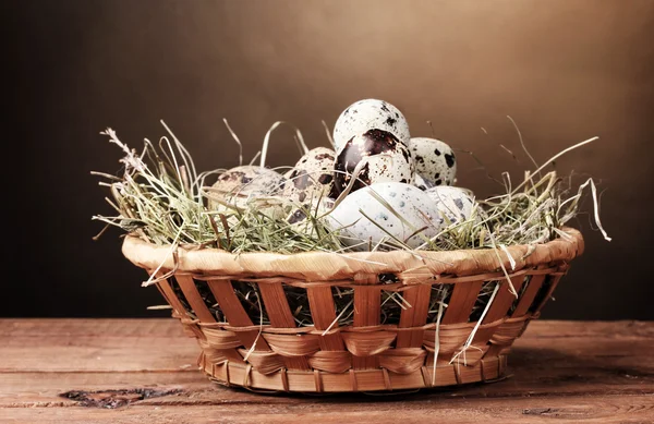 Křepelčí vejce v hnízdě na dřevěný stůl na hnědé pozadí — Stock fotografie