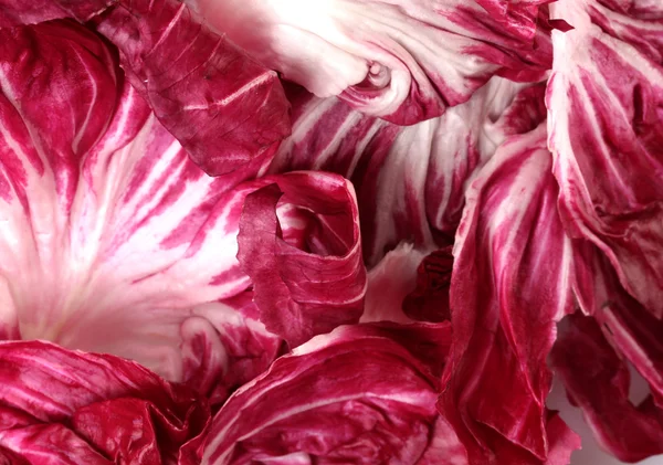 stock image Red cabbage leaves closeup