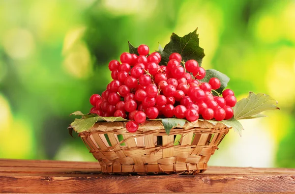 Red berries of viburnum in basket on wooden table on green background — Stock Photo, Image