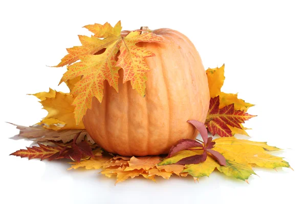 Reifer Kürbis und Herbstblätter isoliert auf weiß — Stockfoto