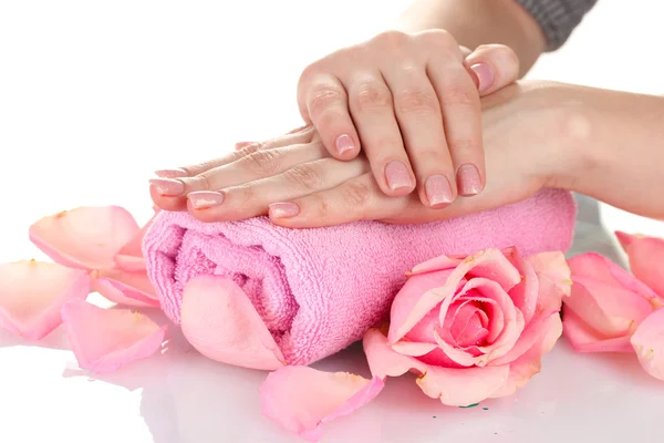 Rosa Rose mit Händen auf weißem Hintergrund — Stockfoto