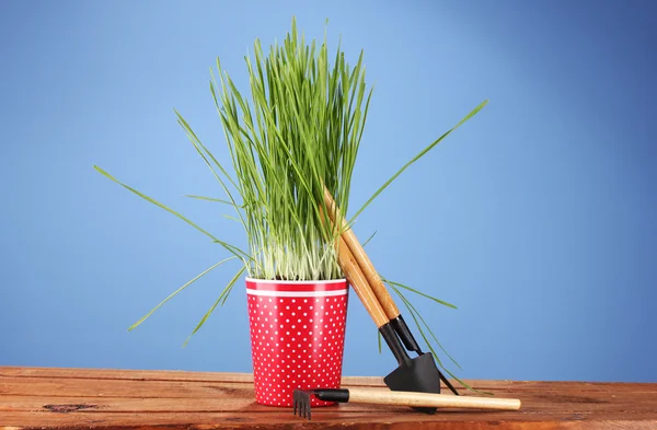 青色の背景に、植木鉢に緑の草 — ストック写真