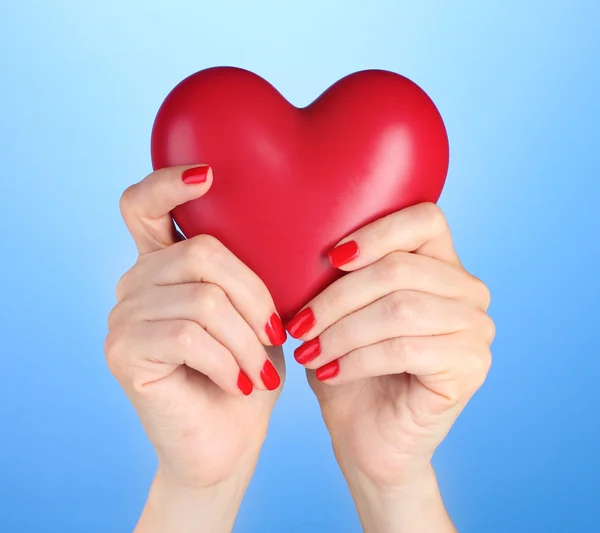 Красное сердце в руках женщины на синем фоне — стоковое фото