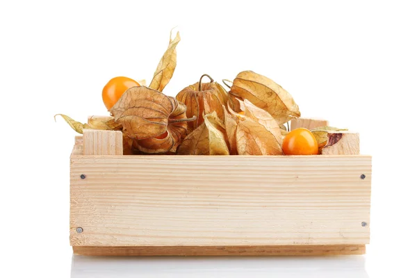 Physalis in crate isolated on white — Stock Photo, Image