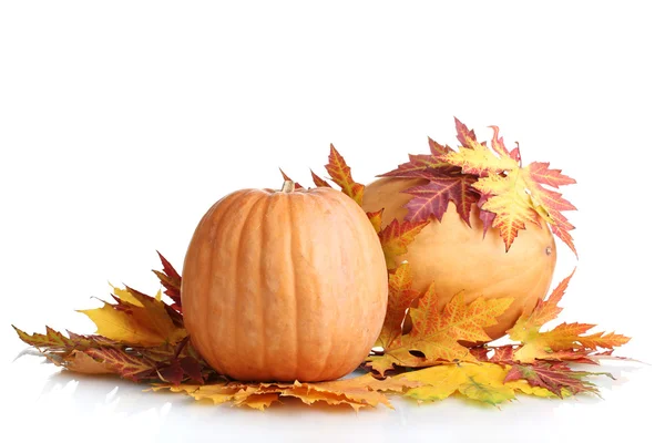 Dos calabazas maduras y hojas de otoño aisladas en blanco — Foto de Stock
