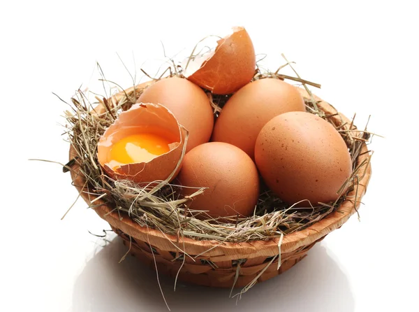 Kurczaka jaj w gnieździe na białym tle — Zdjęcie stockowe