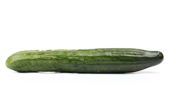 Long cucumber isolated on white — Stock Photo, Image
