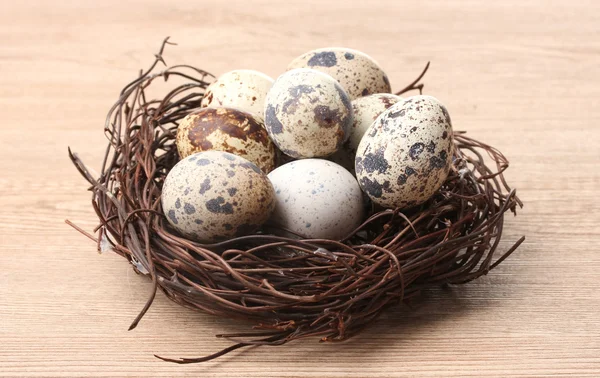 Ovos de codorna em ninho no fundo de madeira — Fotografia de Stock