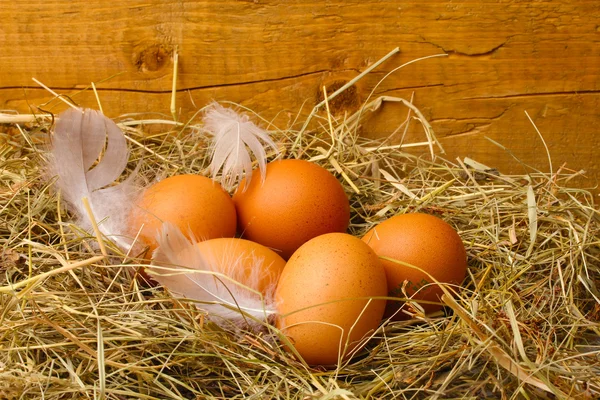 Chicken eggs in a nest on wooden background — Stock Photo, Image