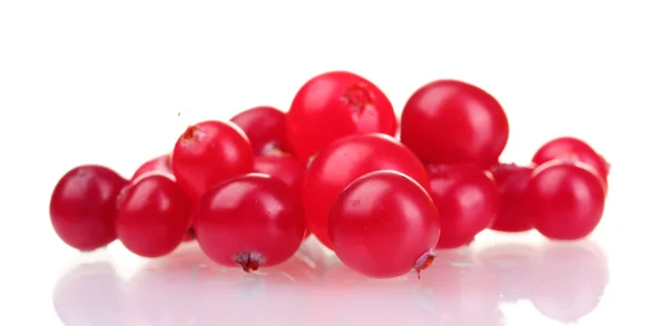 Fresh cranberries isolated on white — Stock Photo, Image