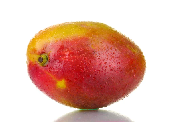 Olgun tatlı mango beyazda soyutlanmış — Stok fotoğraf