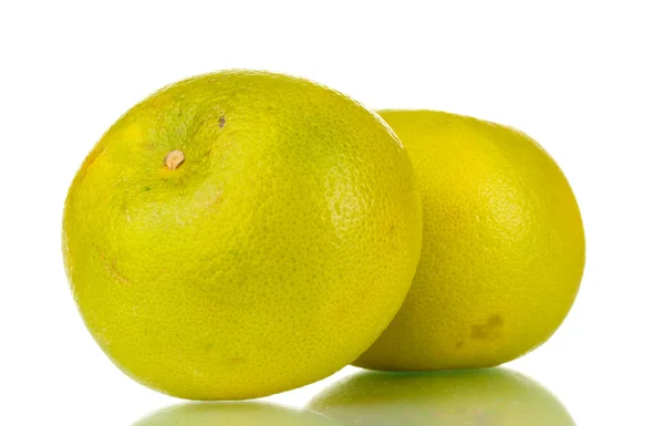 Två gröna grapefrukter isolerad på vit — Stockfoto