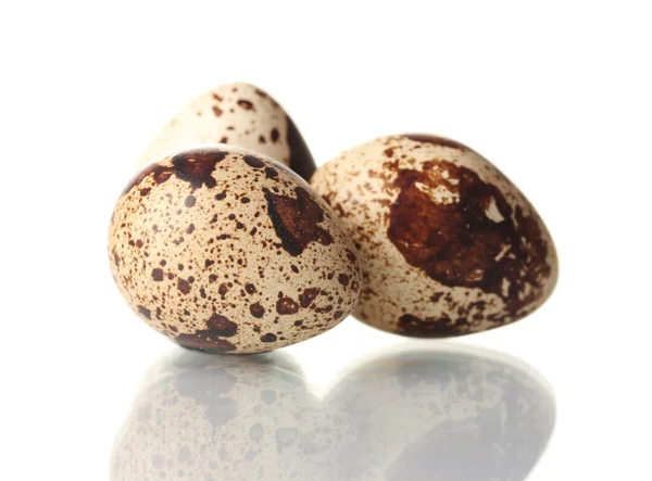 Tři křepelčí vejce isilated na bílém pozadí — Stock fotografie