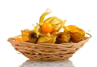 Physalis sepette beyaz izole