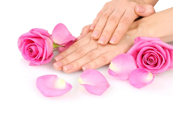 Rose and hands isolated on white — Stock Photo, Image