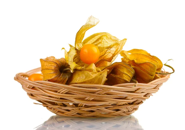 Physalis in basket isolated on white — Stock Photo, Image