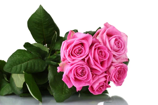 Molte rose rosa isolate su bianco Immagini Stock Royalty Free