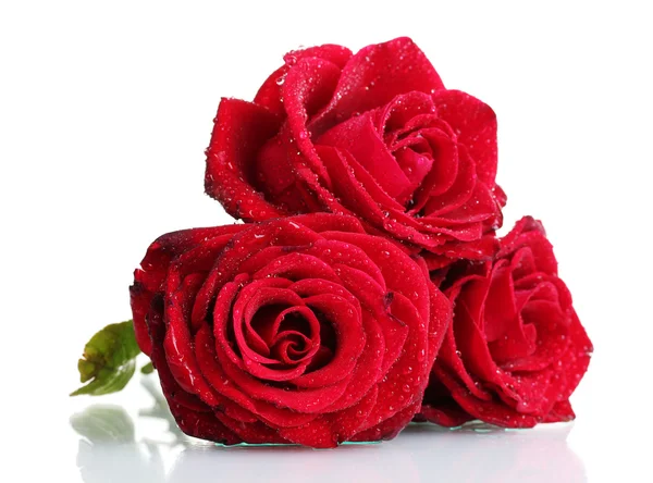 Three beautiful red roses isolated on white — Stock Photo, Image