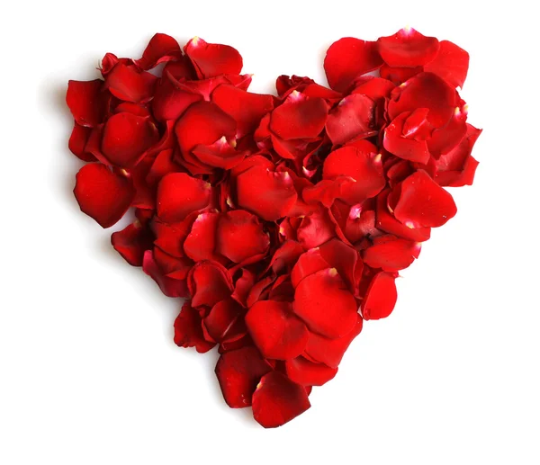 Gyönyörű szív vörös rózsaszirmok elszigetelt fehér — Stock Fotó