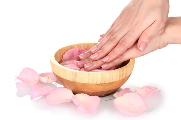 Красивые женские руки и лепестки роз — стоковое фото