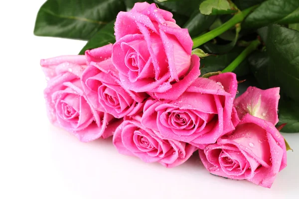 Vele roze rozen geïsoleerd op wit — Stockfoto