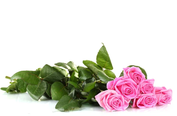 白で隔離される多くのピンクのバラ — ストック写真