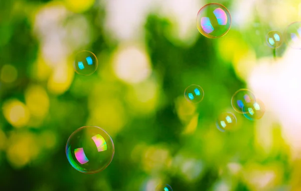 Burbujas de jabón sobre fondo verde — Foto de Stock
