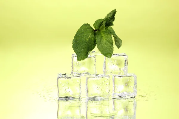 Свежий мятный лист и кубики льда с капельками на зеленом фоне — стоковое фото