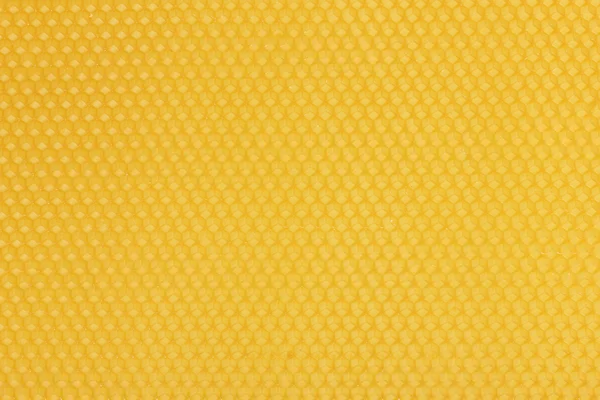 黄美丽蜂窝背景 — 图库照片