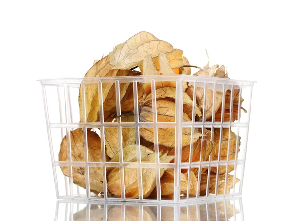 Physalis in plastic basket isolated on white — Stock Photo, Image