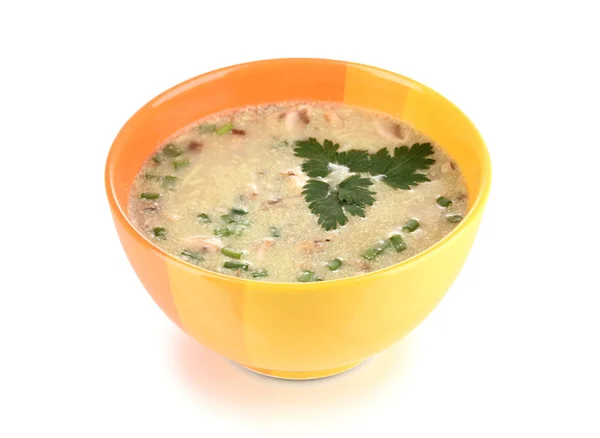 Zuppa saporita isolata su bianco — Foto Stock